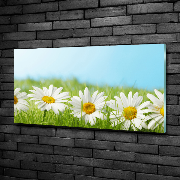 Printed glass wall art Daisy