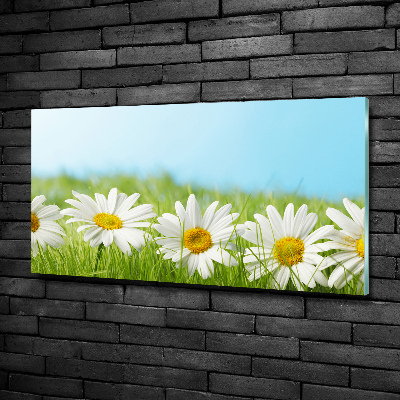 Printed glass wall art Daisy