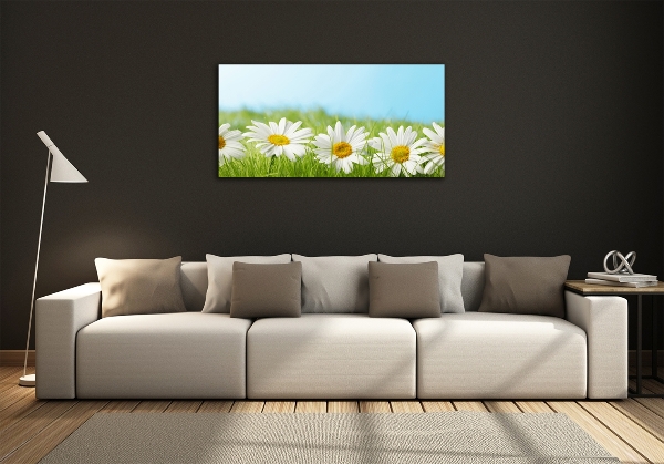 Printed glass wall art Daisy