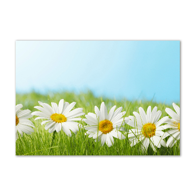 Printed glass wall art Daisy