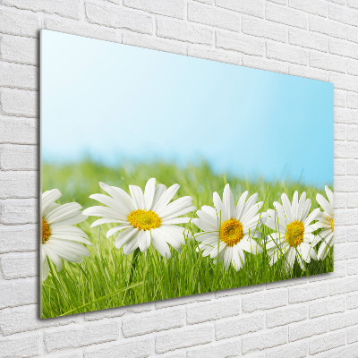 Printed glass wall art Daisy