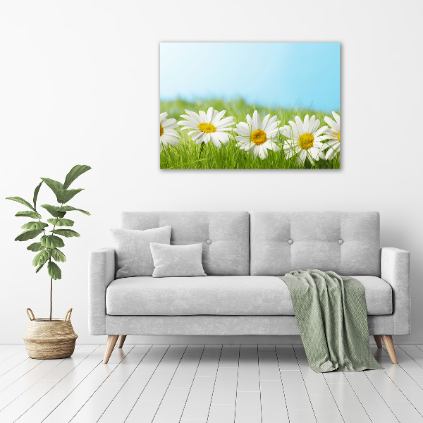 Printed glass wall art Daisy