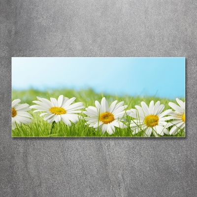 Printed glass wall art Daisy