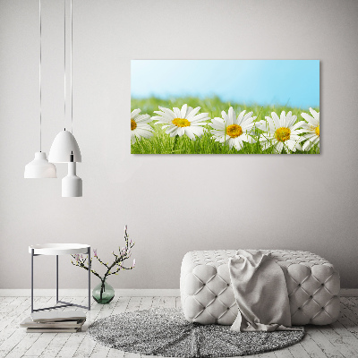 Printed glass wall art Daisy