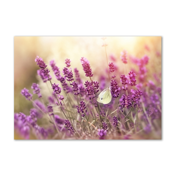 Glass wall art large Lavender