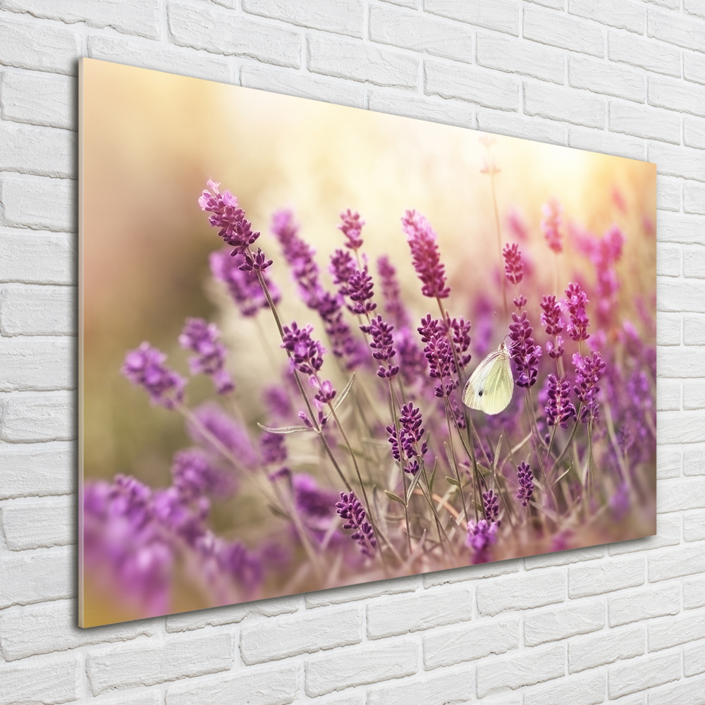 Glass wall art large Lavender