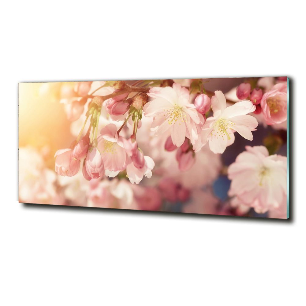 Glass wall art large Cherry blossoms