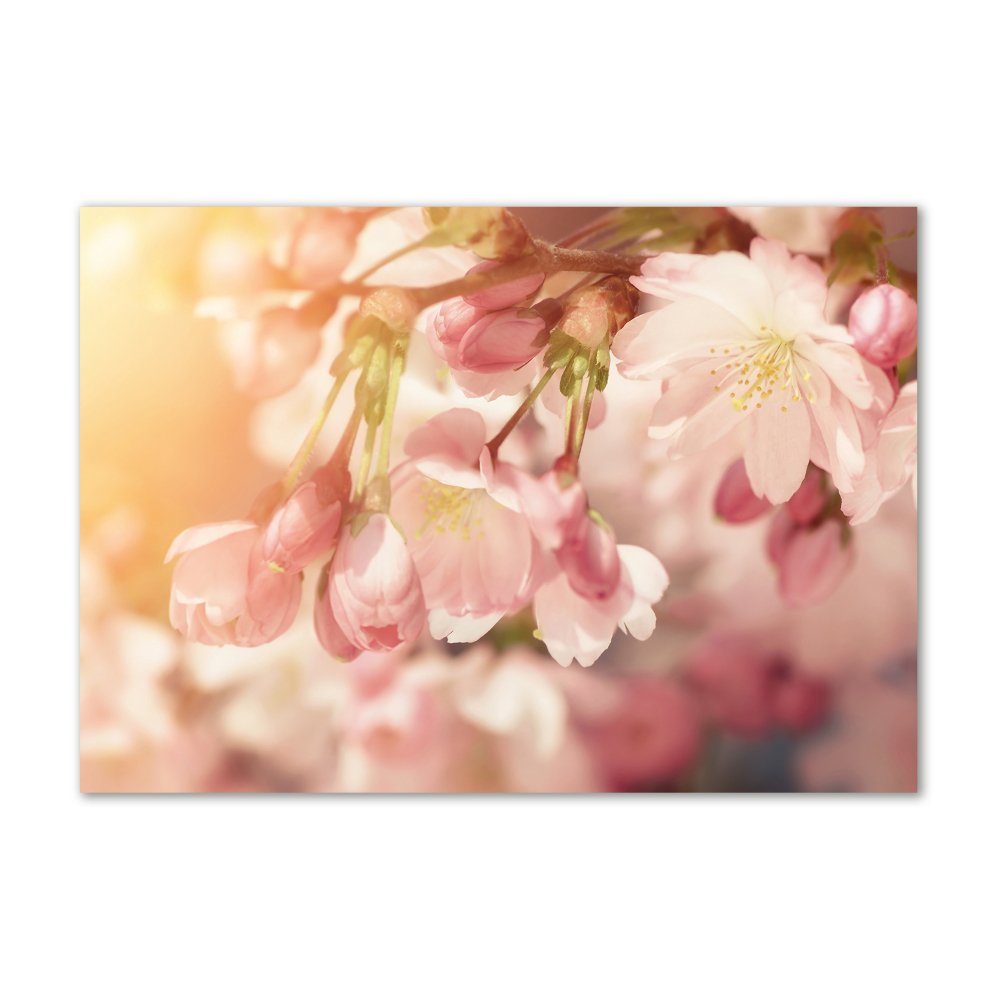 Glass wall art large Cherry blossoms