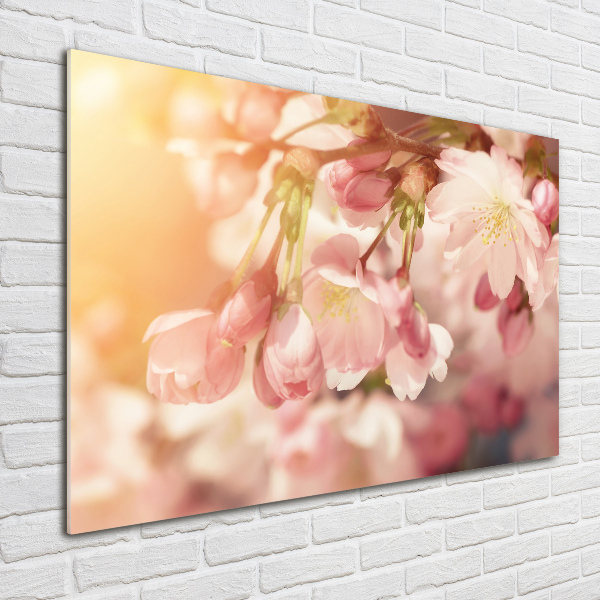 Glass wall art large Cherry blossoms