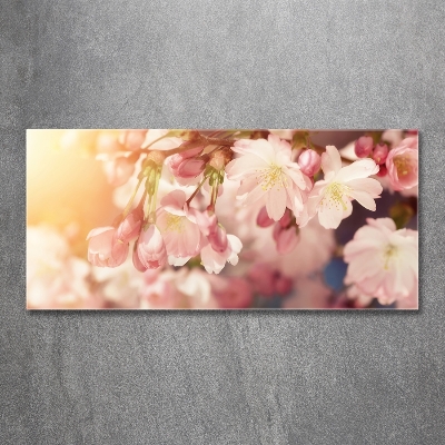 Glass wall art large Cherry blossoms