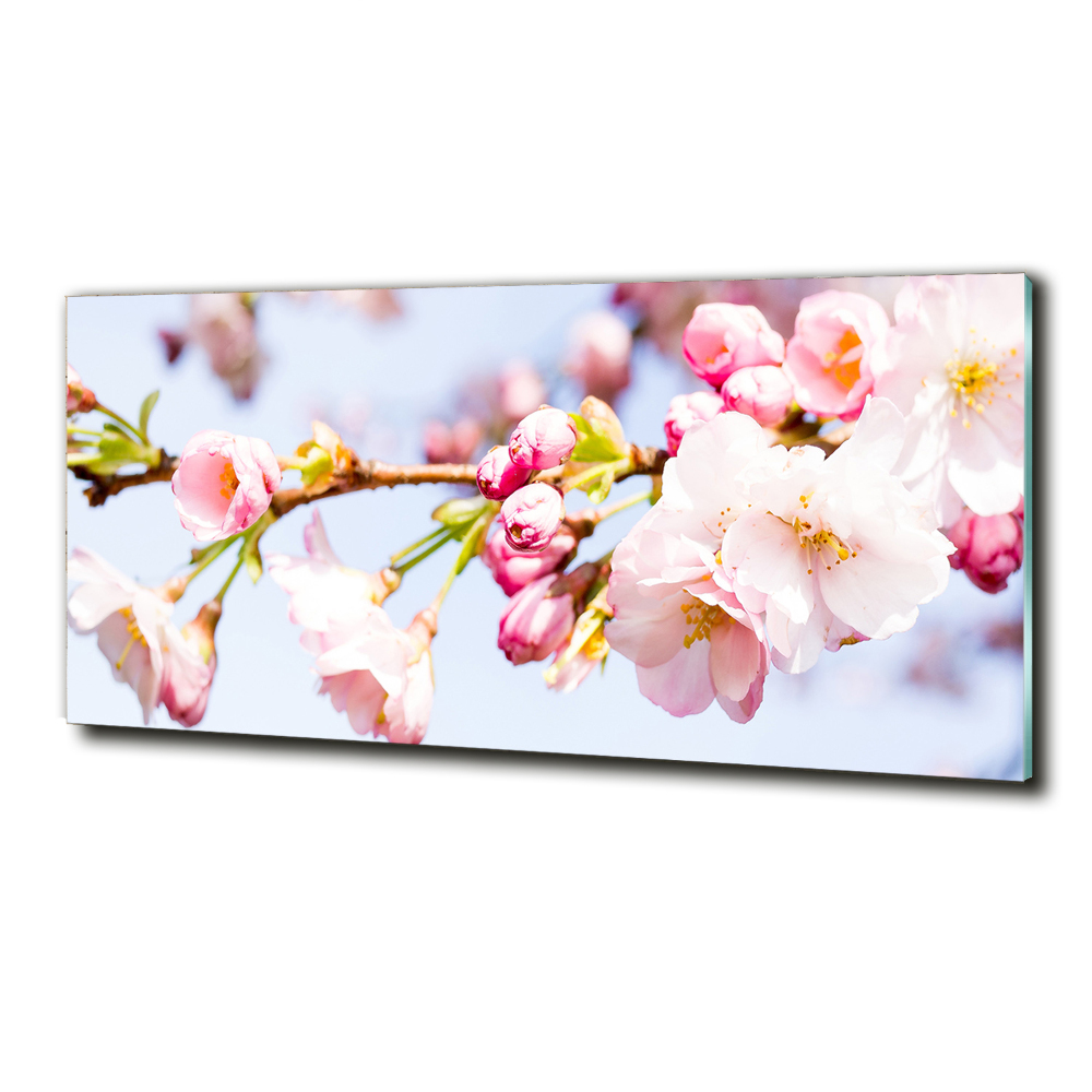 Glass wall art large Cherry blossoms