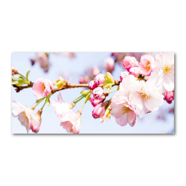 Glass wall art large Cherry blossoms