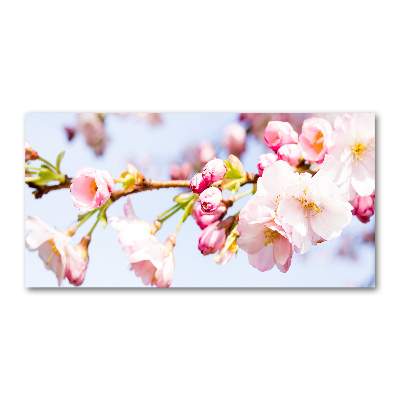 Glass wall art large Cherry blossoms