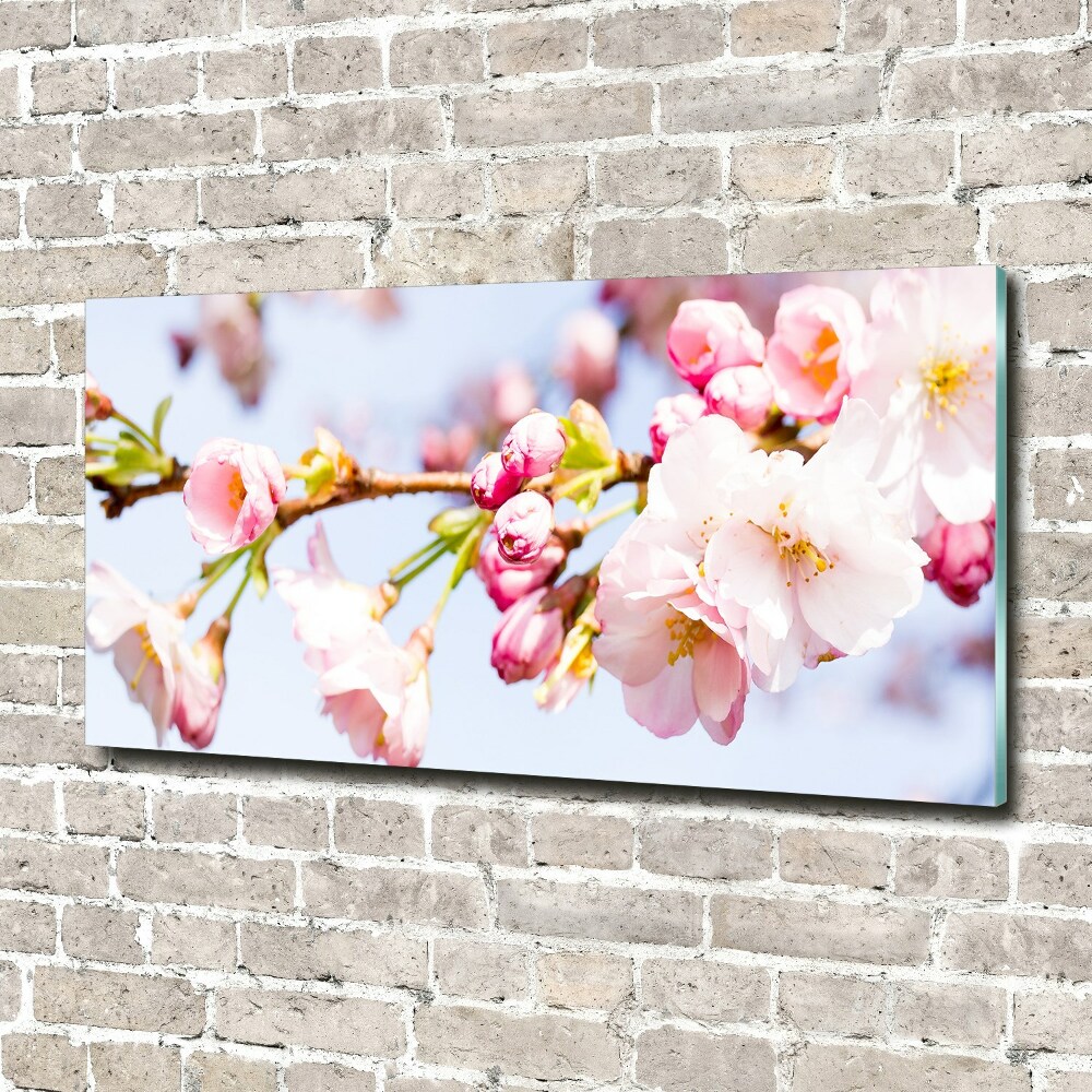 Glass wall art large Cherry blossoms