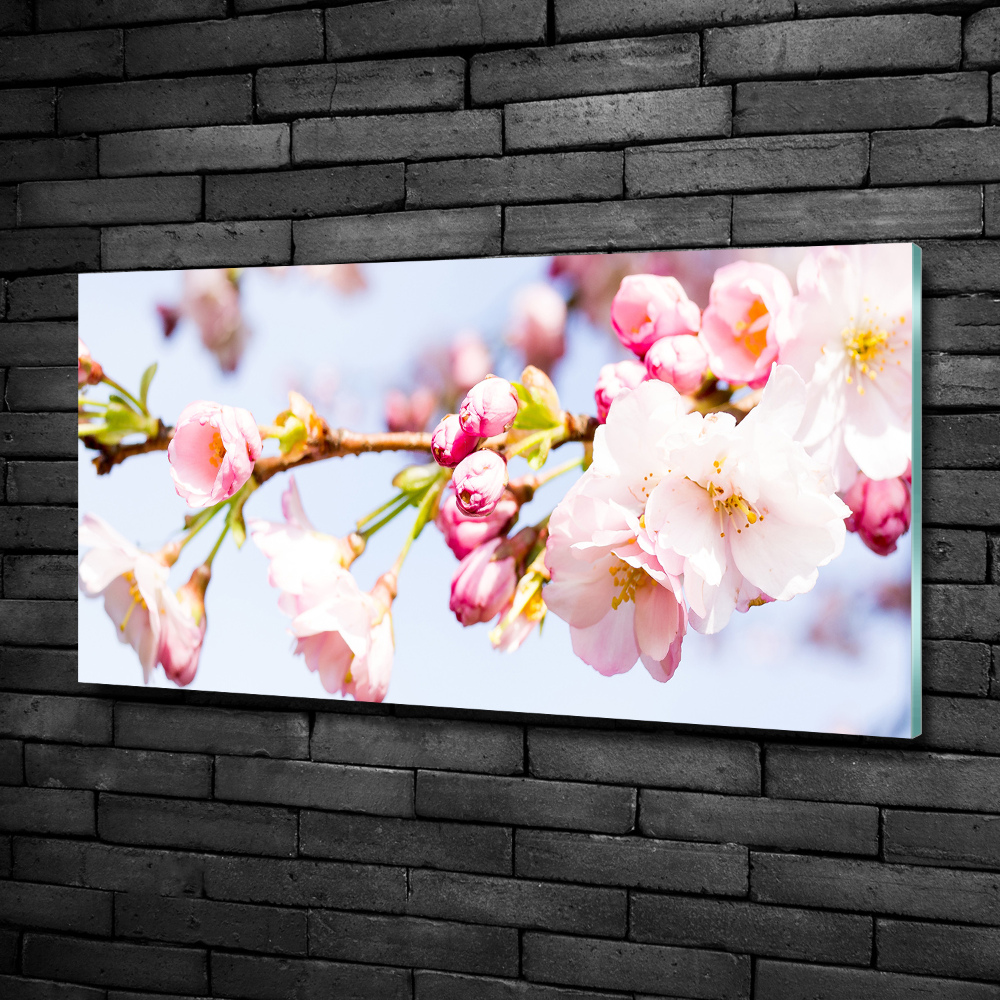 Glass wall art large Cherry blossoms