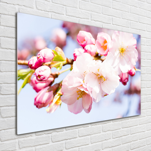 Glass wall art large Cherry blossoms