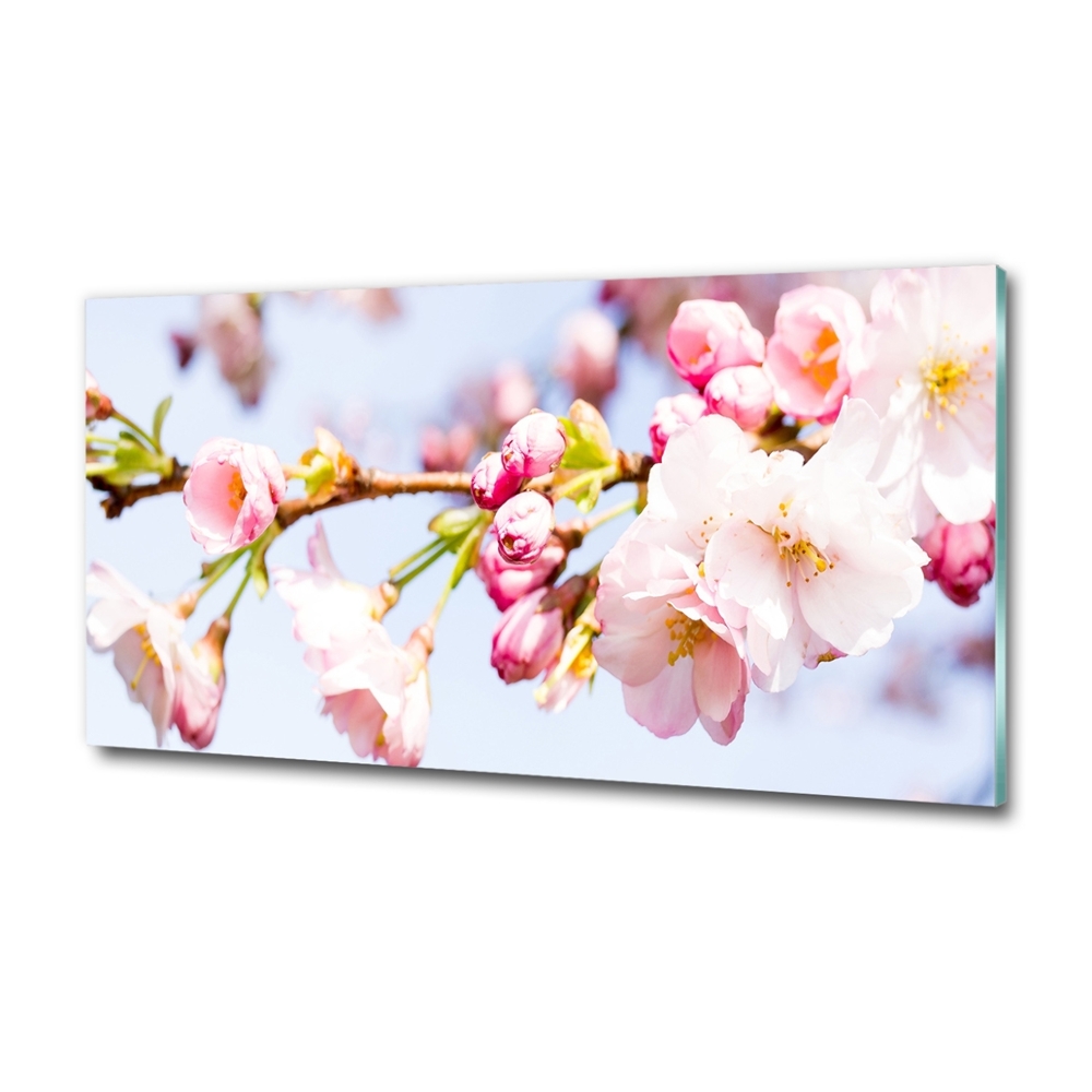 Glass wall art large Cherry blossoms