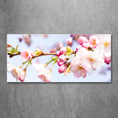 Glass wall art large Cherry blossoms