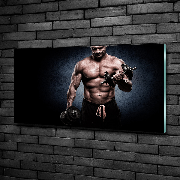 Glass wall art Muscle structure