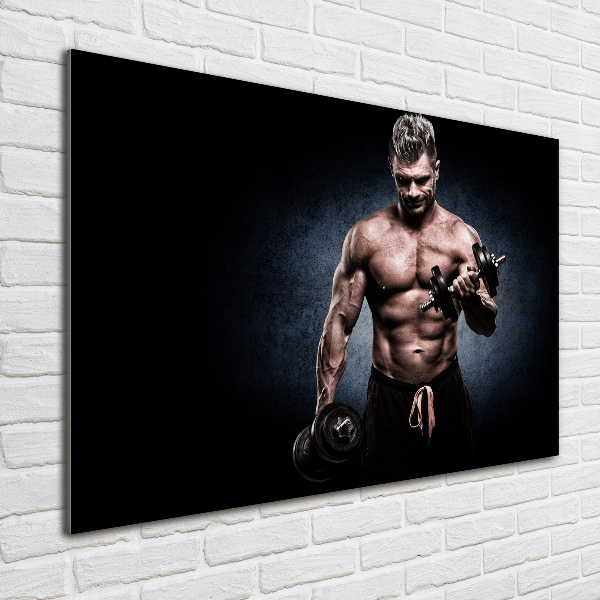 Glass wall art Muscle structure