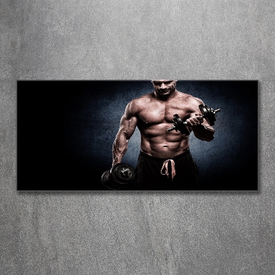 Glass wall art Muscle structure