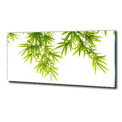 Glass wall art large Bamboo leaves