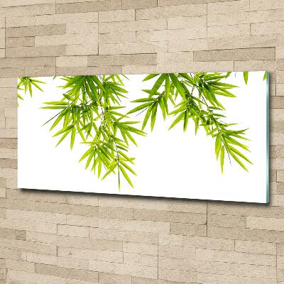 Glass wall art large Bamboo leaves