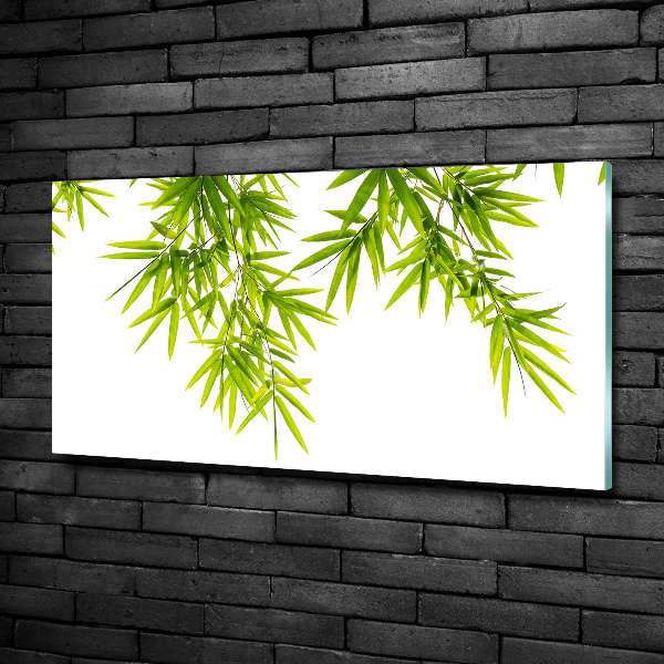 Glass wall art large Bamboo leaves