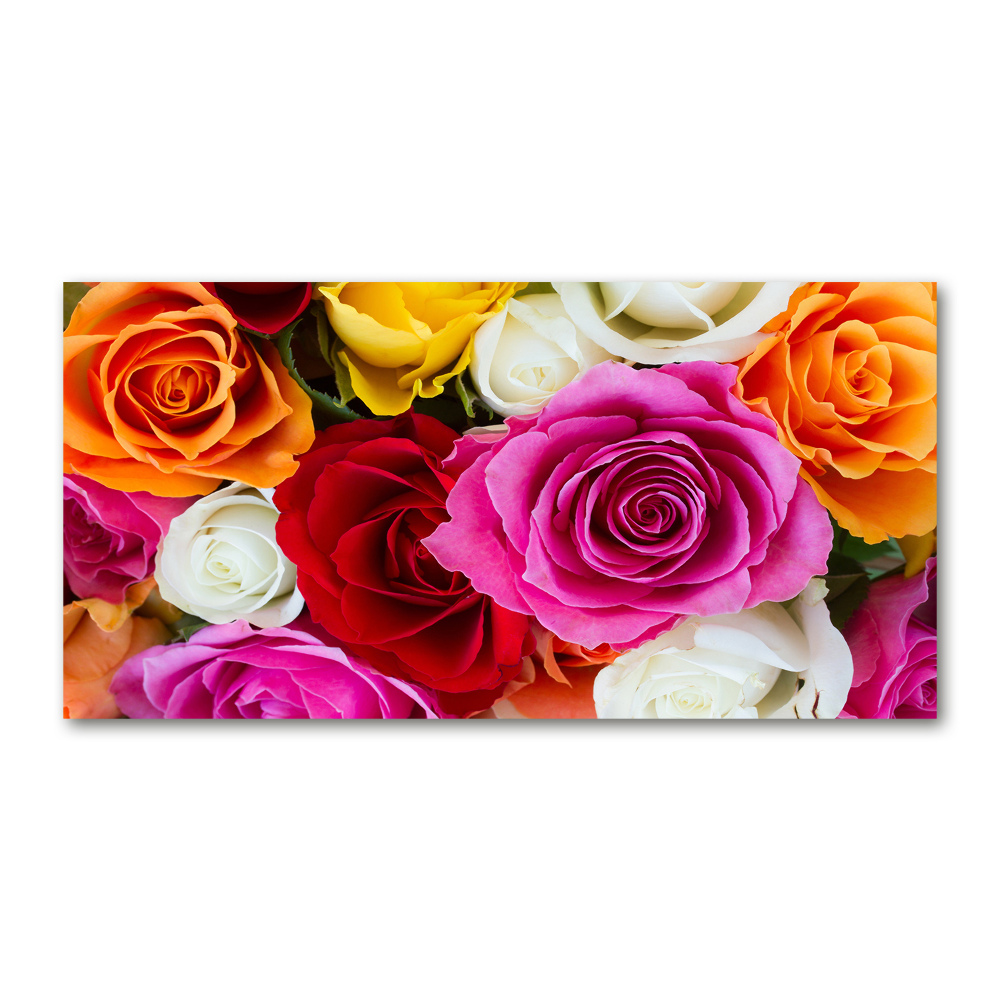 Glass wall art large Colorful roses