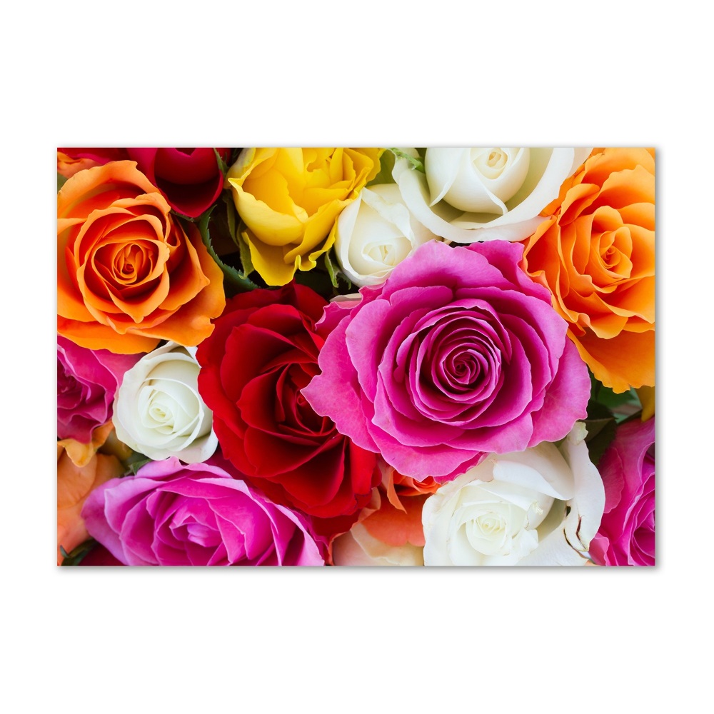 Glass wall art large Colorful roses