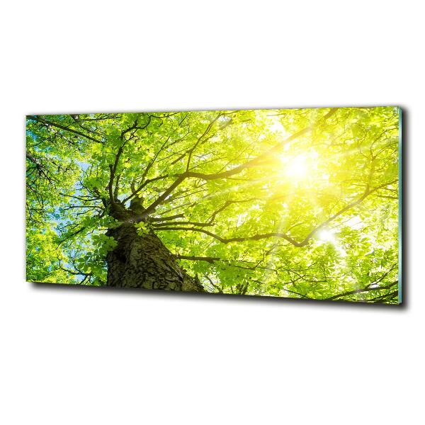 Glass wall art large Chestnut in spring