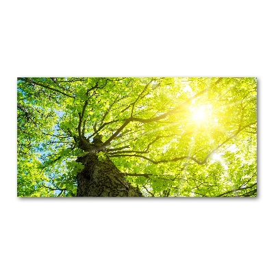 Glass wall art large Chestnut in spring