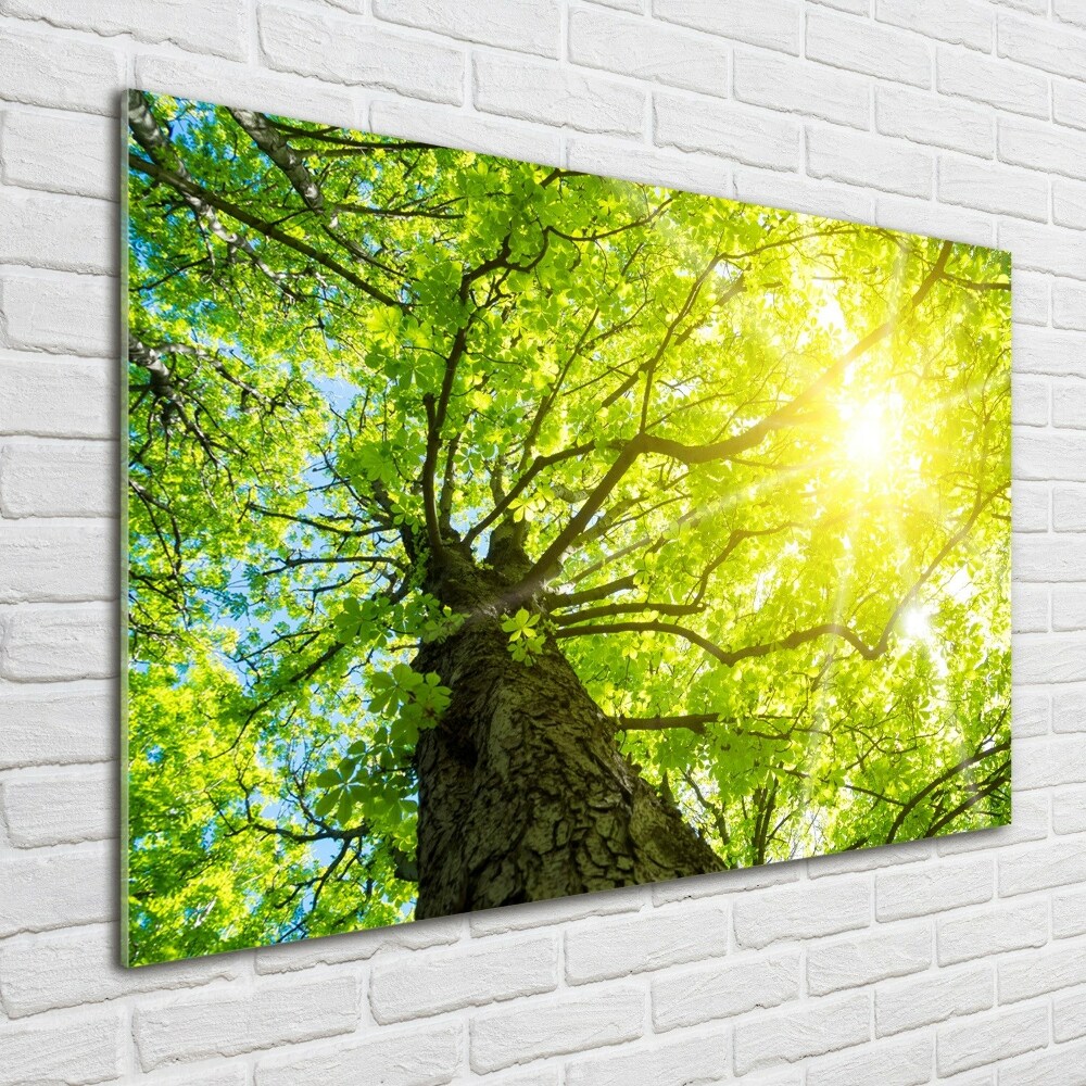 Glass wall art large Chestnut in spring