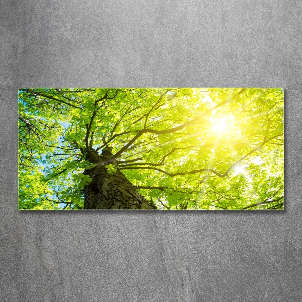 Glass wall art large Chestnut in spring