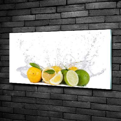 Photo printed on glass Citruses and water