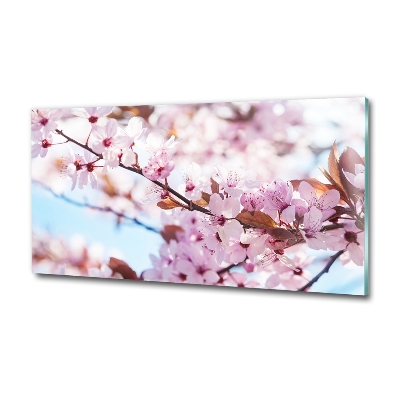 Glass picture print Cherry blossoms