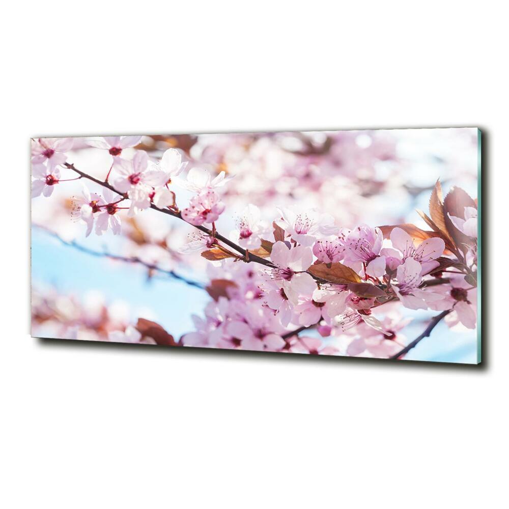 Glass picture print Cherry blossoms