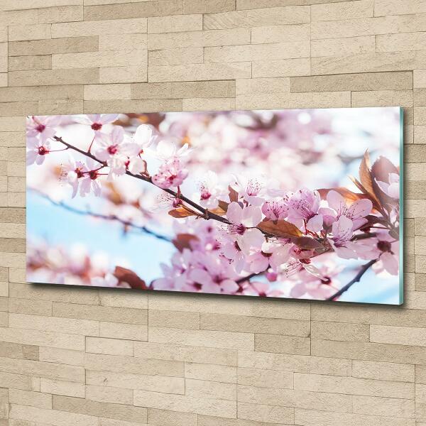 Glass picture print Cherry blossoms