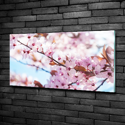 Glass picture print Cherry blossoms