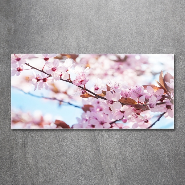 Glass picture print Cherry blossoms