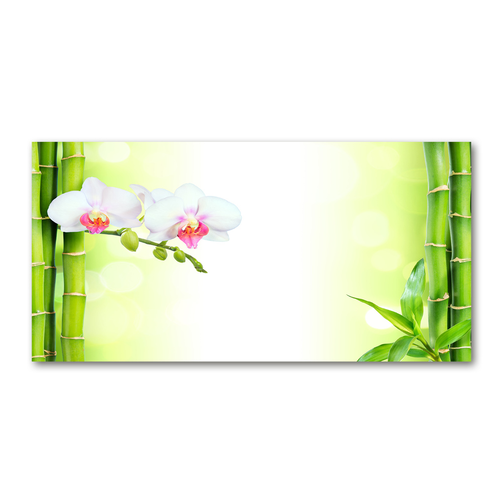 Glass wall art large Orchid and bamboo