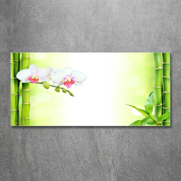 Glass wall art large Orchid and bamboo