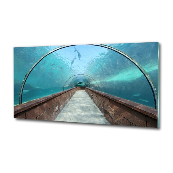 Glass art print Aquarium tunnel