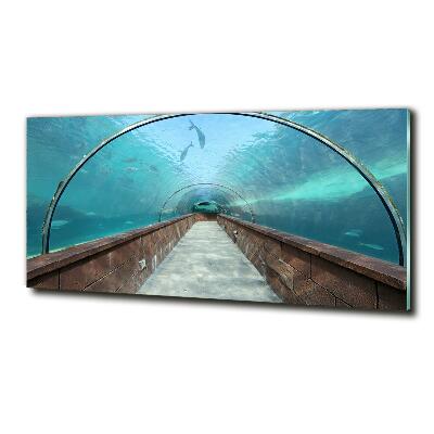 Glass art print Aquarium tunnel