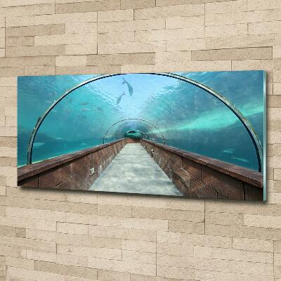 Glass art print Aquarium tunnel