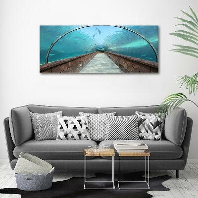 Glass art print Aquarium tunnel