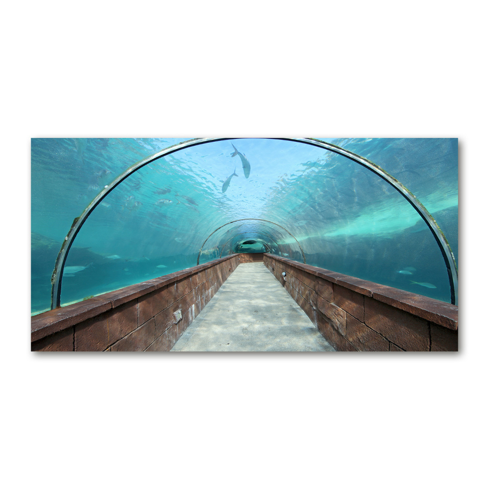 Glass art print Aquarium tunnel