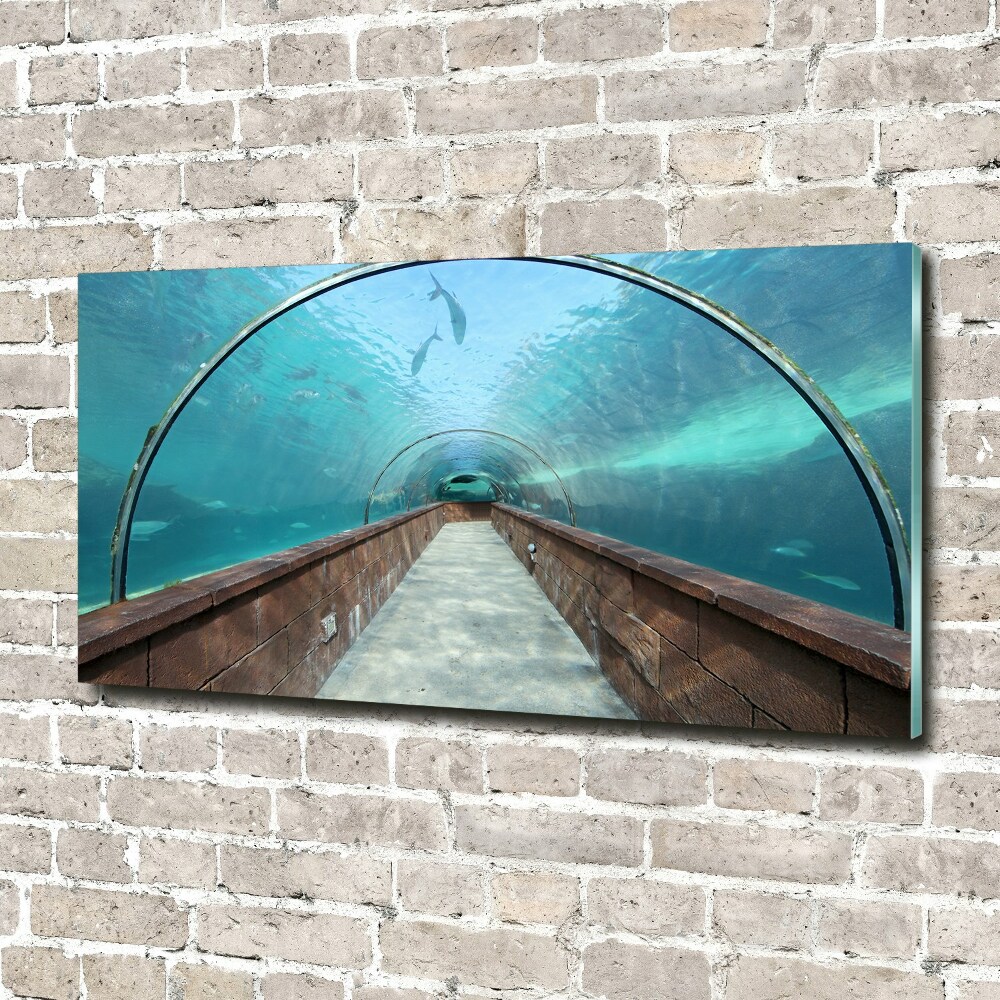 Glass art print Aquarium tunnel