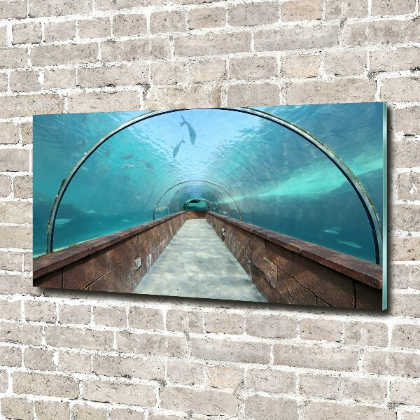 Glass art print Aquarium tunnel