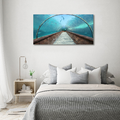 Glass art print Aquarium tunnel